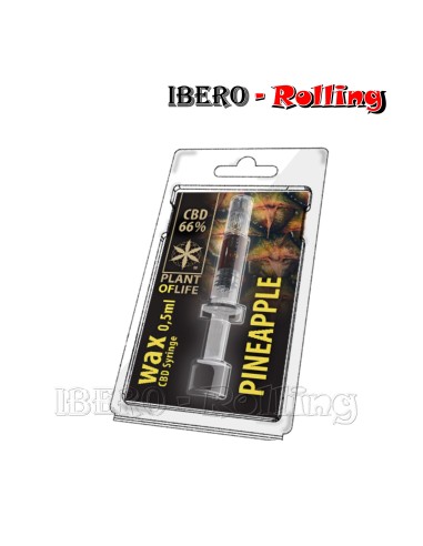 WAX PINEAPPLE 66% 0,5ML