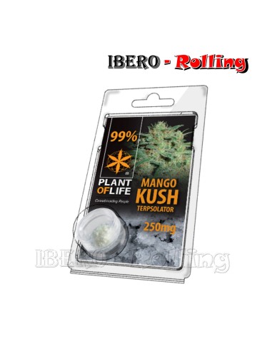 TERPSOLATOR OG KUSH 99% 250MG