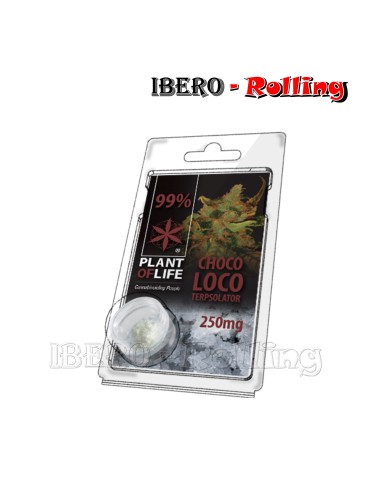 TERPSOLATOR CHOCOLOCO 99% 250MG