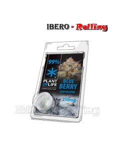 TERPSOLATOR BLUEBERRY 99% 250MG