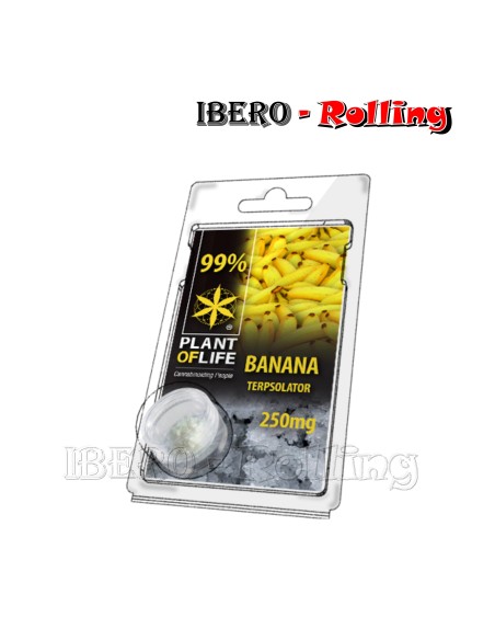 TERPSOLATOR BANANA 99% 250MG