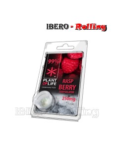 TERPSOLATOR RASPBERRY 99% 250MG