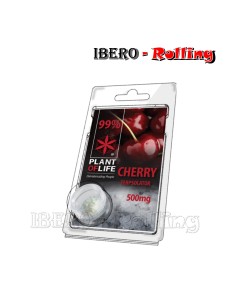 TERPSOLATOR CHERRY 99% 500MG