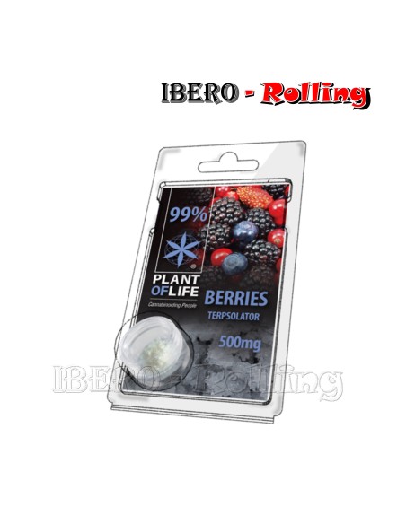 TERPSOLATOR BERRIES 99% 500MG