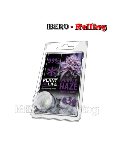 TERPSOLATOR PURPLE 99% 500MG