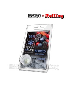 TERPSOLATOR BERRIES 99% 250MG