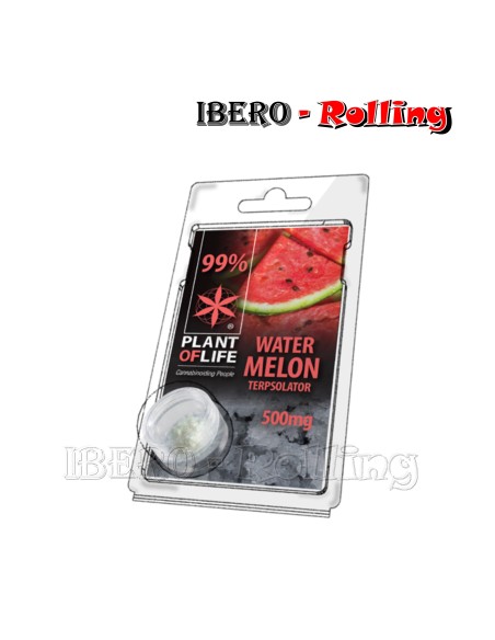 TERPSOLATOR WATERMELON 99% 500MG