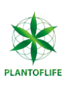 PLANT OF LIFE